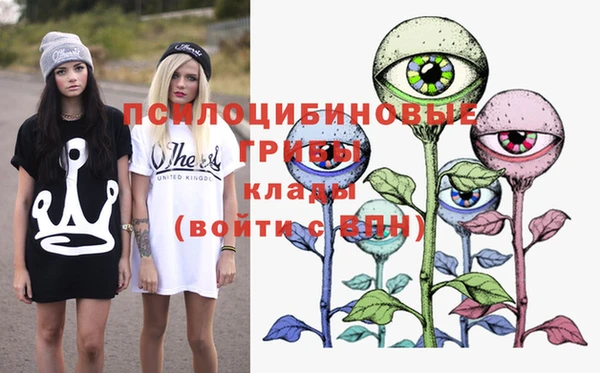 мдма Гусев