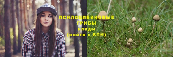 мяу мяу мука Краснотурьинск