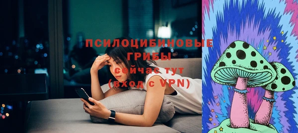 мдма Гусев