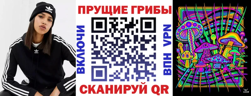 Псилоцибиновые грибы прущие грибы  Сысерть 